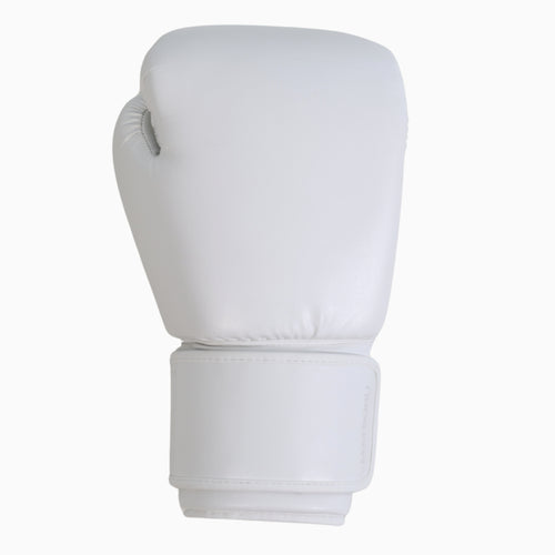Classic Boxing Gloves