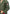 Warfare Gi