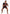Dragon No-Gi Bundle