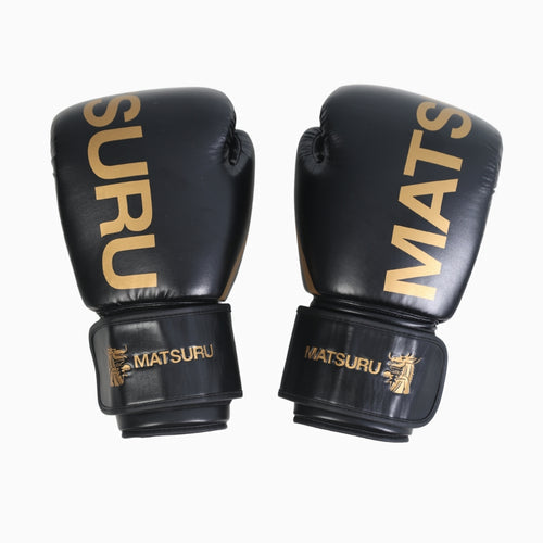 Pro Boxing Gloves