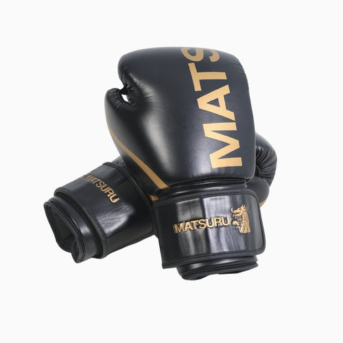 Pro Boxing Gloves