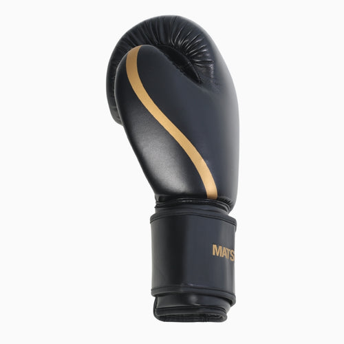 Pro Boxing Gloves