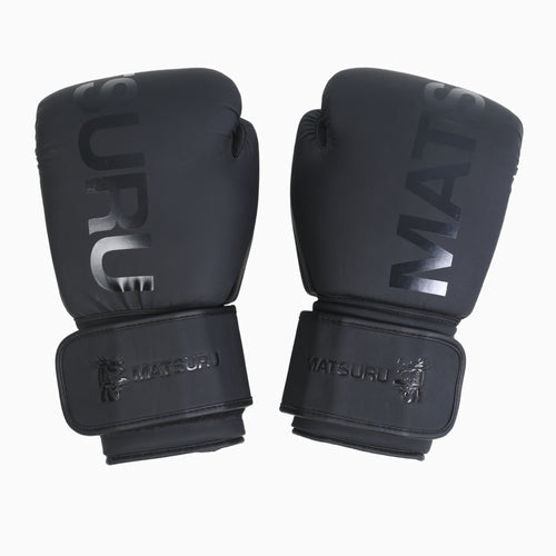 Pro Boxing Gloves
