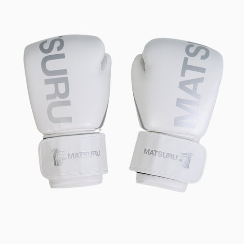 Pro Boxing Gloves