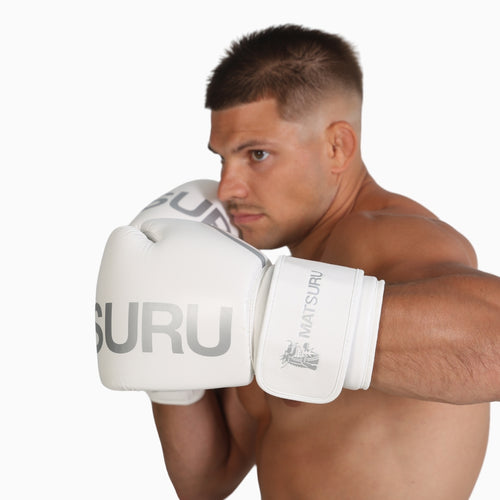 Pro Boxing Gloves
