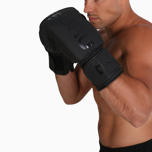 Pro Boxing Gloves